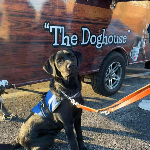 A good boy